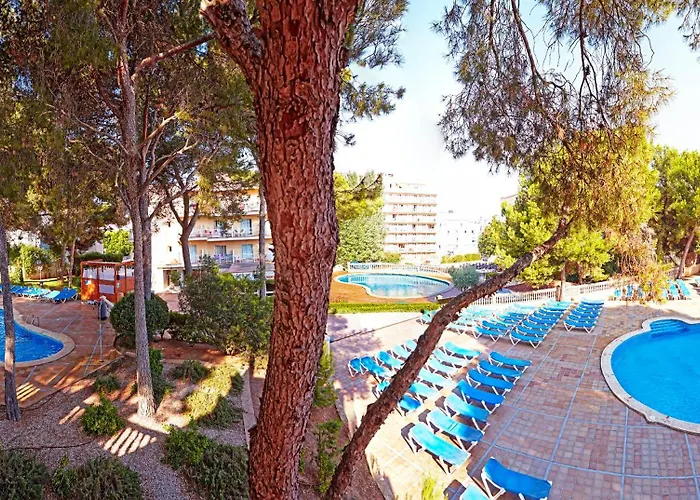 Mll Palma Bay Club 3* El Arenal