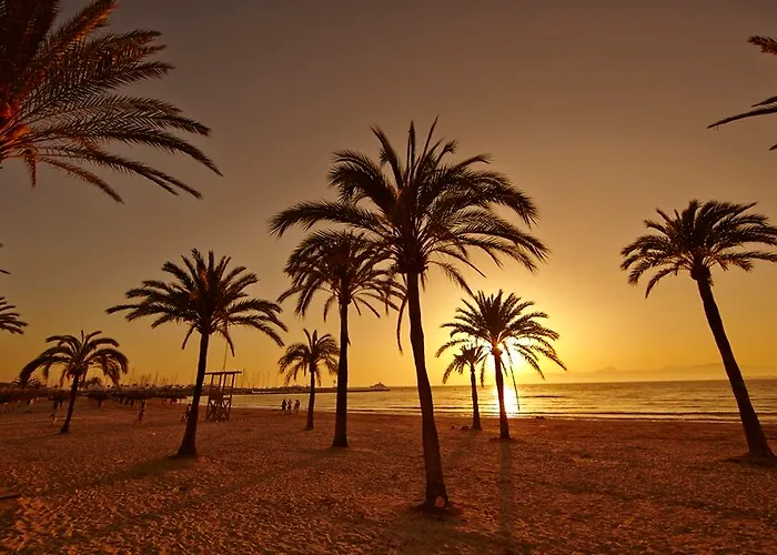 Mll Palma Bay Club Üdülőközpont 3*