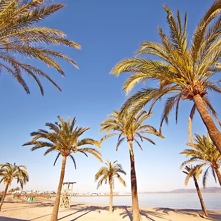 Mll Palma Bay Club 3* 엘아레날