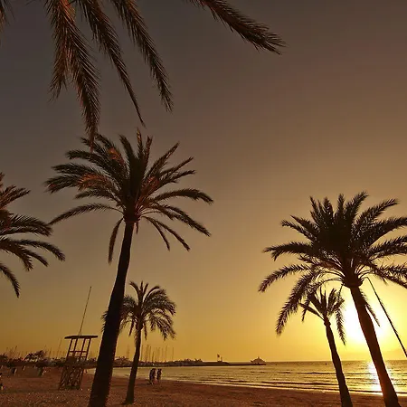 Mll Palma Bay Club 엘아레날