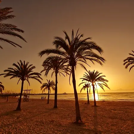 Mll Palma Bay Club 리조트 3*