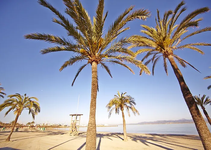 Mll Palma Bay Club 3*