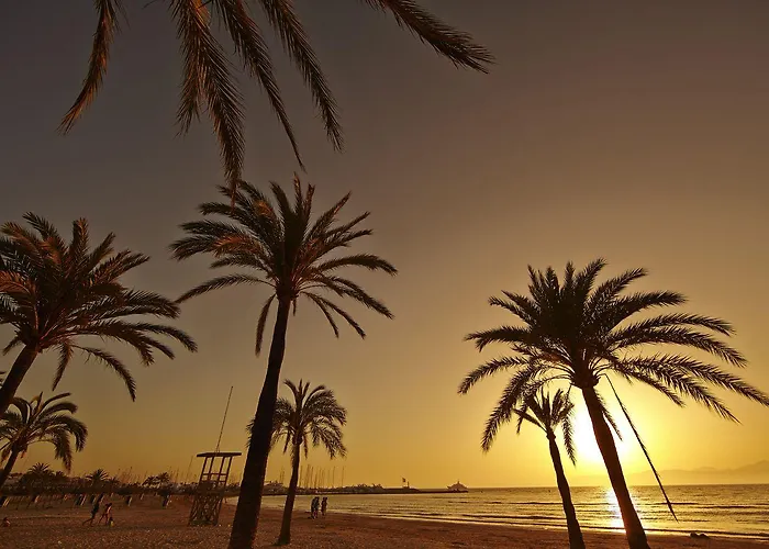 Mll Palma Bay Club Ελ Αρενάλ