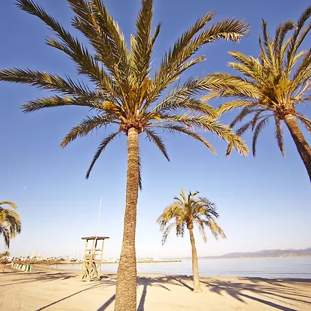 Mll Palma Bay Club 3*