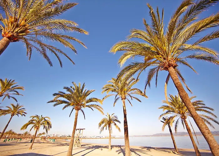 Mll Palma Bay Club 3* Ель-Ареналь